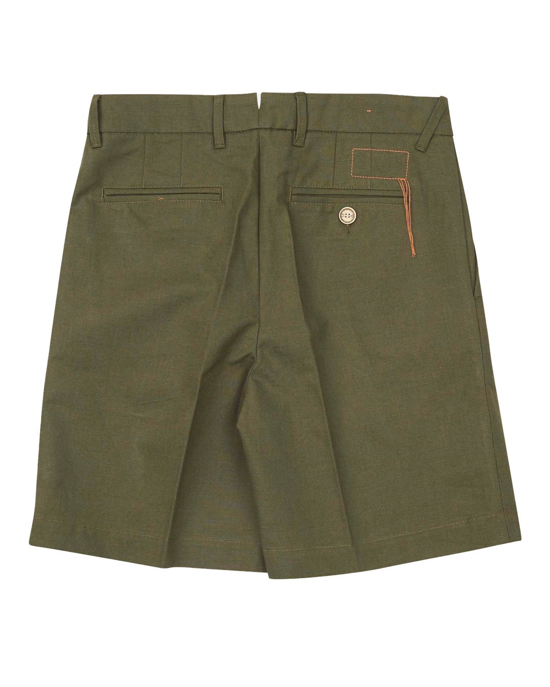 BEACHSHORT-00313         GRE